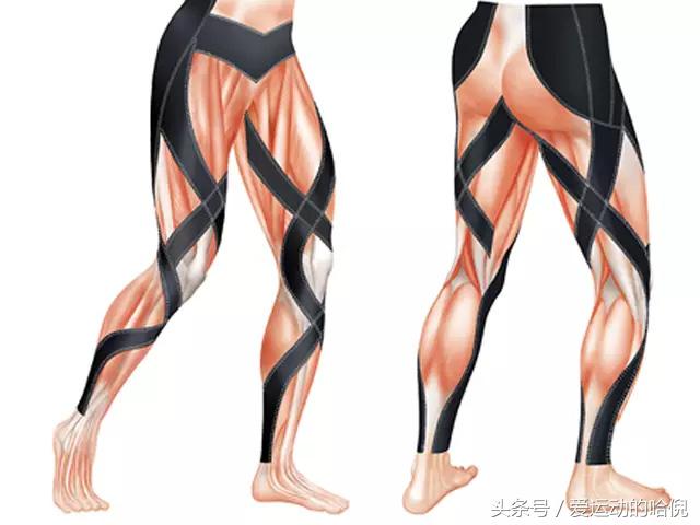 哪个牌子的运动紧身裤最好穿,紧身运动裤和压缩裤的区别