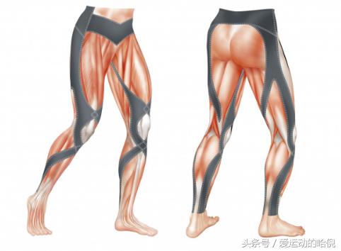 哪个牌子的运动紧身裤最好穿,紧身运动裤和压缩裤的区别