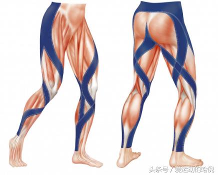 哪个牌子的运动紧身裤最好穿,紧身运动裤和压缩裤的区别