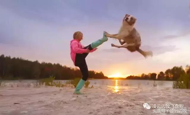 使狗狗快乐的动作,使狗狗开心的声音