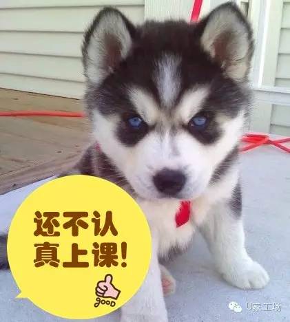 装修行业里面最大的坑你踩了多少,装修坑人的套路看完别再踩坑了