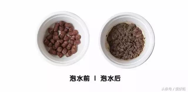 国外冻干粮,最好的冻干粮排名