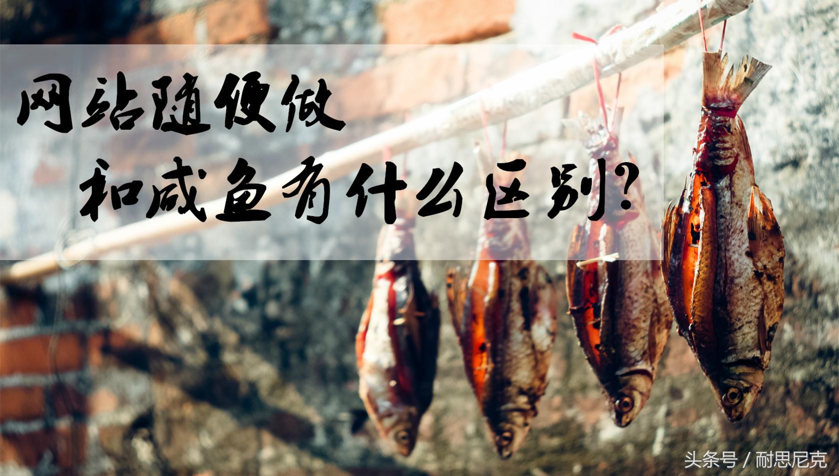 网站做一个需要多少钱,新手做网站能赚钱吗