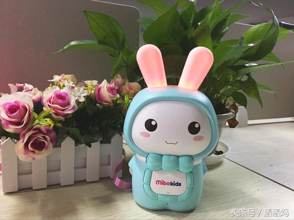 这里有只兔子,这里有一只兔子