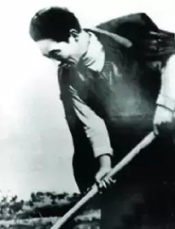 焦裕禄时代的县委第一书记,县委书记的榜样焦裕禄简介