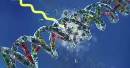 这种物质曾被当作保健成分,受害者的遗骨因此发光上千年