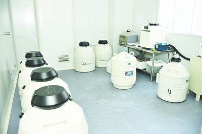 武汉刚刚出生的婴儿,武汉刚刚出生的孩子