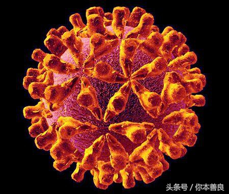 《最爱》讲述“艾滋病村”背后的真实创作背景