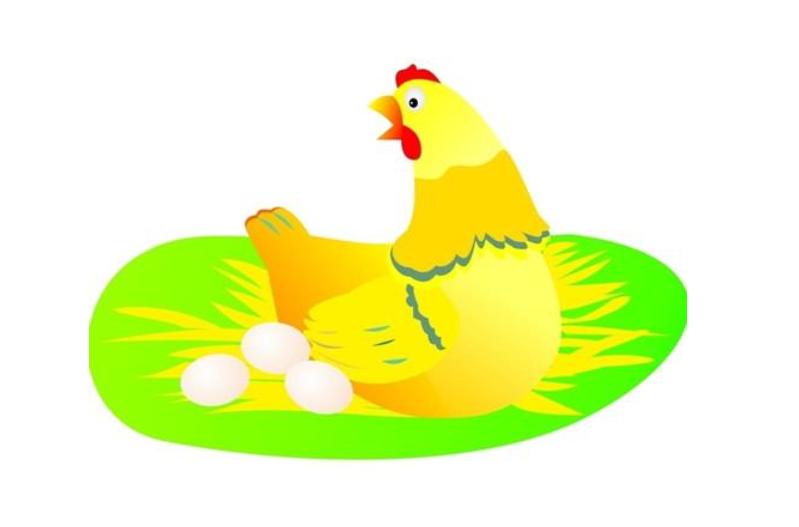 梦见下蛋的母鸡,做梦梦见母鸡下蛋