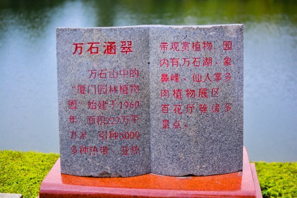 盆栽国色天香,国色天香立春