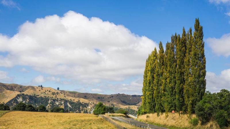 幸好没有买,幸好暂时没买日本车