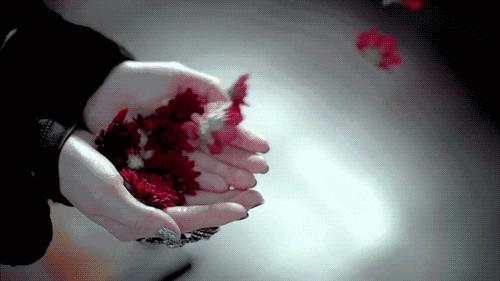 藏壶为什么这么贵,藏壶天下的258元真的还是假的