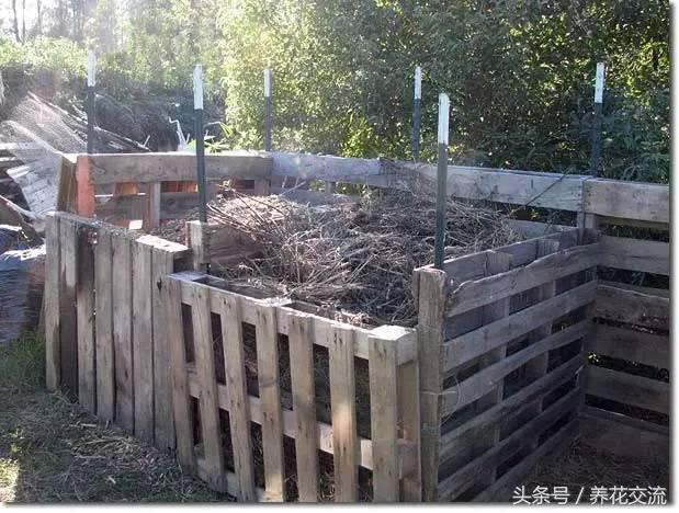 用菜叶和树叶哪个堆肥好,树叶和菜叶哪个做堆肥更好