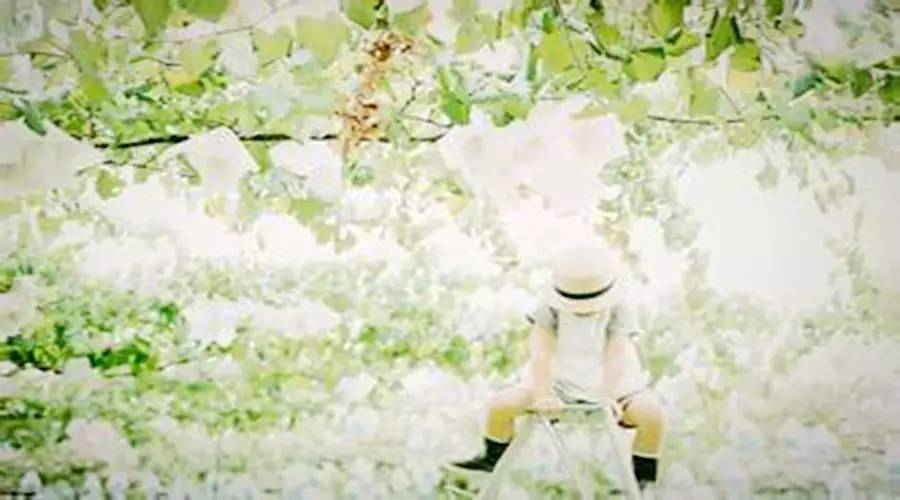 五险一金对比六险两金,七险一金比五险一金好多少