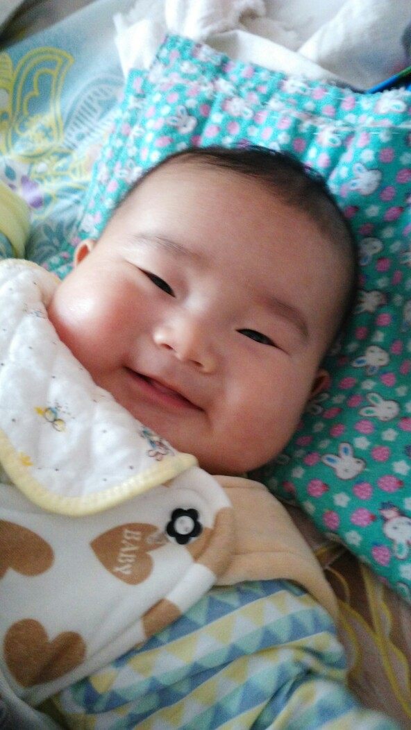 鱼缸养鲫鱼和金鱼,在鱼缸里养金鱼和鱼苗