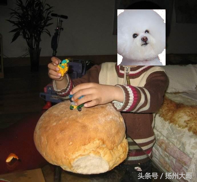 俄罗斯大列巴的酸味,俄罗斯大列巴好吃有嚼劲