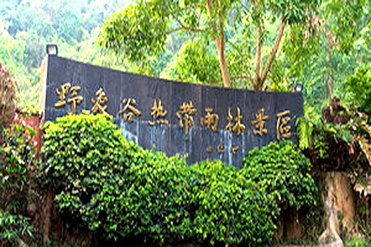 行走西双版纳旅行社,行走西双版纳合集