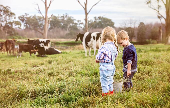 为什么澳洲的奶粉比国版的便宜,澳洲奶粉好还是俄罗斯奶粉好