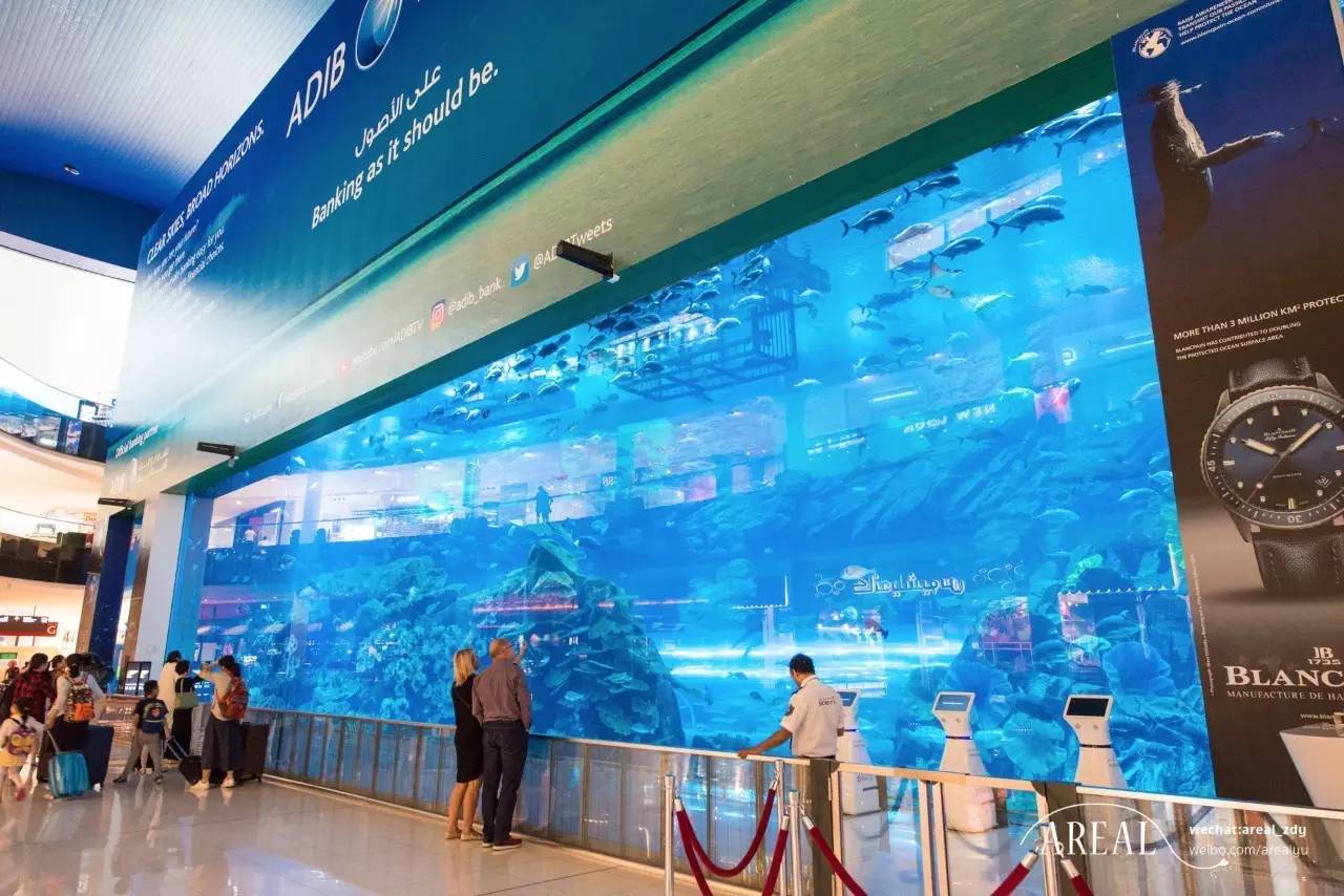 迪拜的风景美如画,迪拜美景尽收眼底