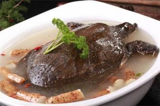 <html>
<head><title>502BadGateway</title></head>
<body>
<center><h1>502BadGateway</h1></center>
<hr><center>nginx</center>
</body>
</html>
<!--apaddingtodisableMSIEandChromefriendlyerrorpage-->
<!--apaddingtodisableMSIEandChromefriendlyerrorpage-->
<!--apaddingtodisableMSIEandChromefriendlyerrorpage-->
<!--apaddingtodisableMSIEandChromefriendlyerrorpage-->
<!--apaddingtodisableMSIEandChromefriendlyerrorpage-->
<!--apaddingtodisableMSIEandChromefriendlyerrorpage-->
