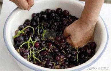 红葡萄酒的酿制方法视频,自制红葡萄酒的酿制方法