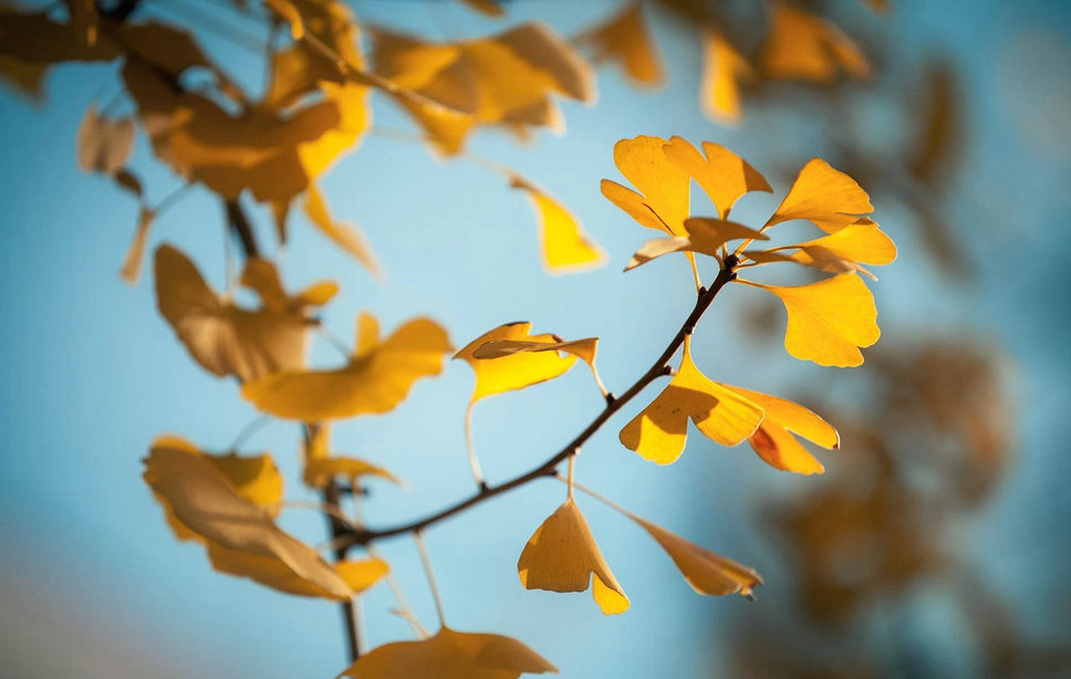 医院门诊管理的主要内容,医院门诊制度标准