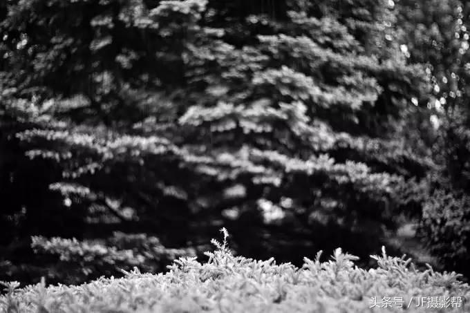 徕卡mp经典胶片,徕卡最后一款便携胶片机