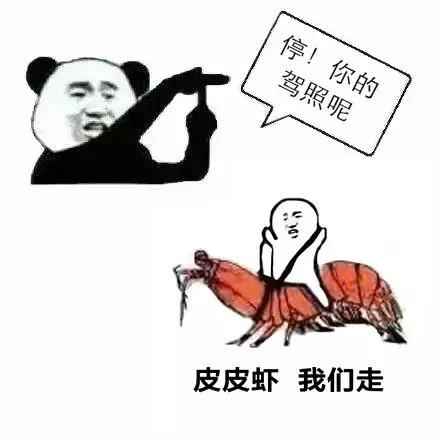 带你去找皮皮虾,皮皮虾你爱去哪