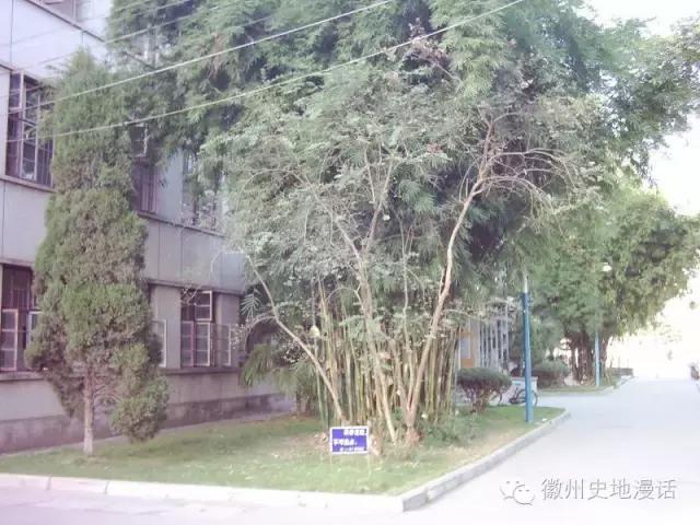 安徽省屯溪一中排名,屯溪黎阳的简介