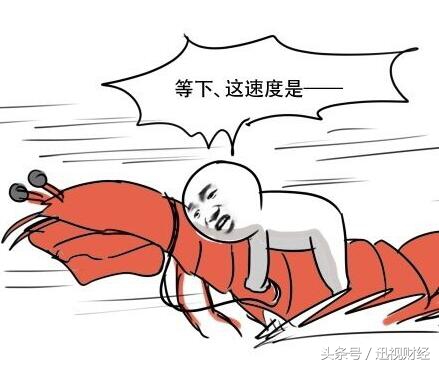 这个春节不好过之勇斗“皮皮虾”，业内哈哈哈