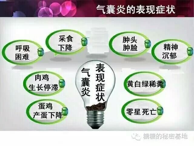 治疗支气管堵塞最好方法,支气管堵塞和气囊炎区别