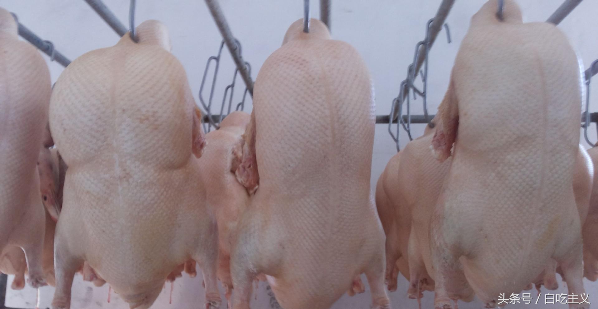 北京填鸭现在还有吗,正宗的北京填鸭