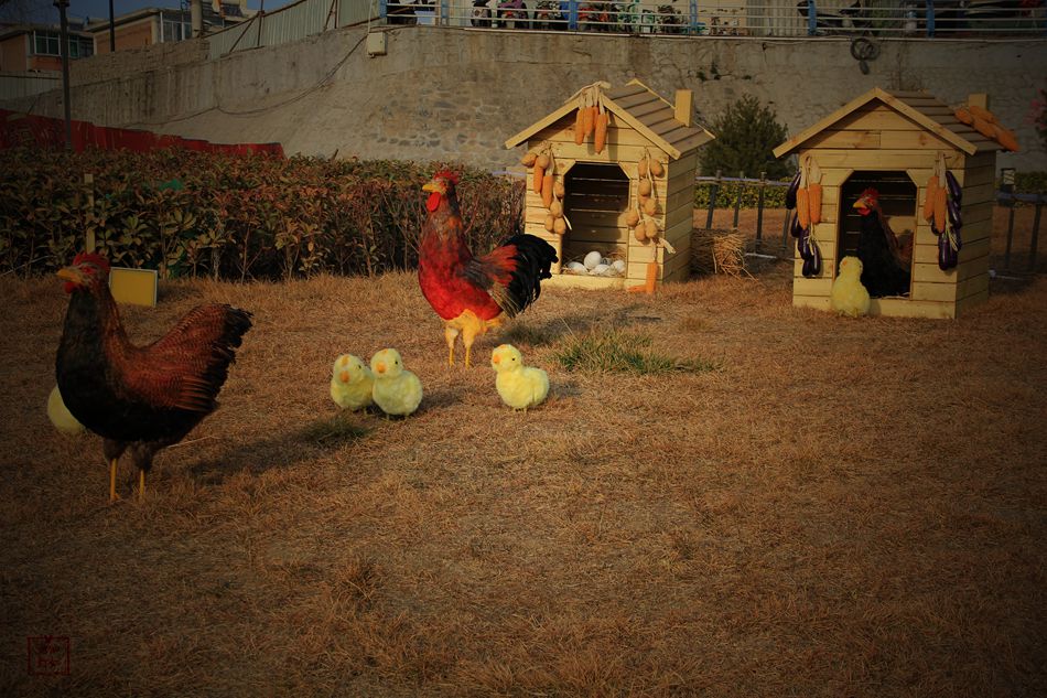 天水麦积区翠湖镇,甘肃天水麦积区翠湖