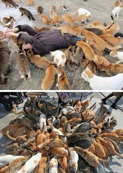 什么情况可以拉黑一个人,为什么会拉黑一个人呢