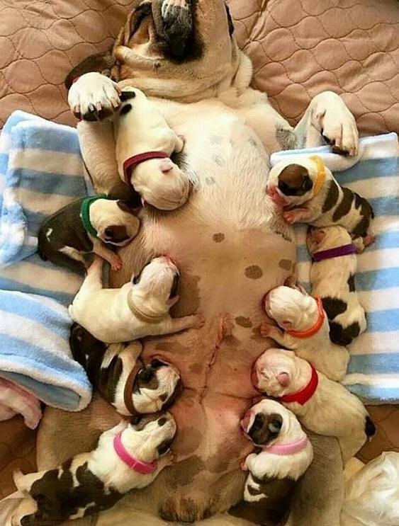 什么情况可以拉黑一个人,为什么会拉黑一个人呢