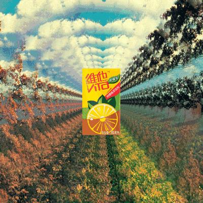 南宁瓶装饮品哪种好喝又营养,南宁清凉饮品哪种好喝又营养