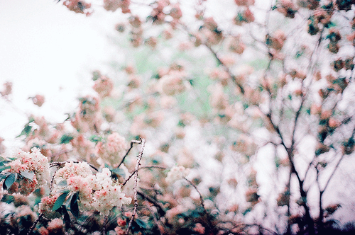 原创|《梦里花落知多少》她说她爱他,那年青梅伴竹马