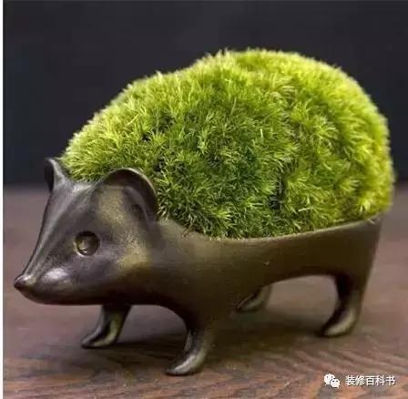 瀹ゅ唴鍒涙剰缁挎,瀹ゅ唴缁挎鏅閫犲瀷璁捐