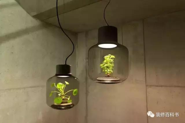 瀹ゅ唴鍒涙剰缁挎,瀹ゅ唴缁挎鏅閫犲瀷璁捐