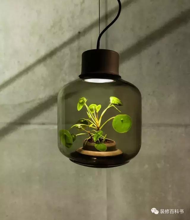 瀹ゅ唴鍒涙剰缁挎,瀹ゅ唴缁挎鏅閫犲瀷璁捐