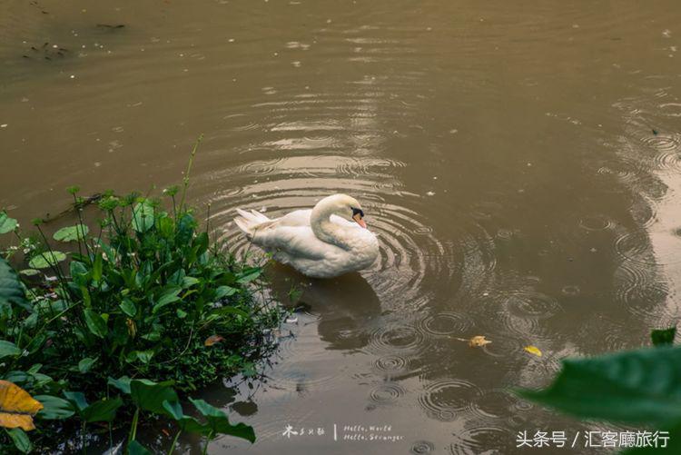 汇客厅2020,狮城新加坡旅游掠影