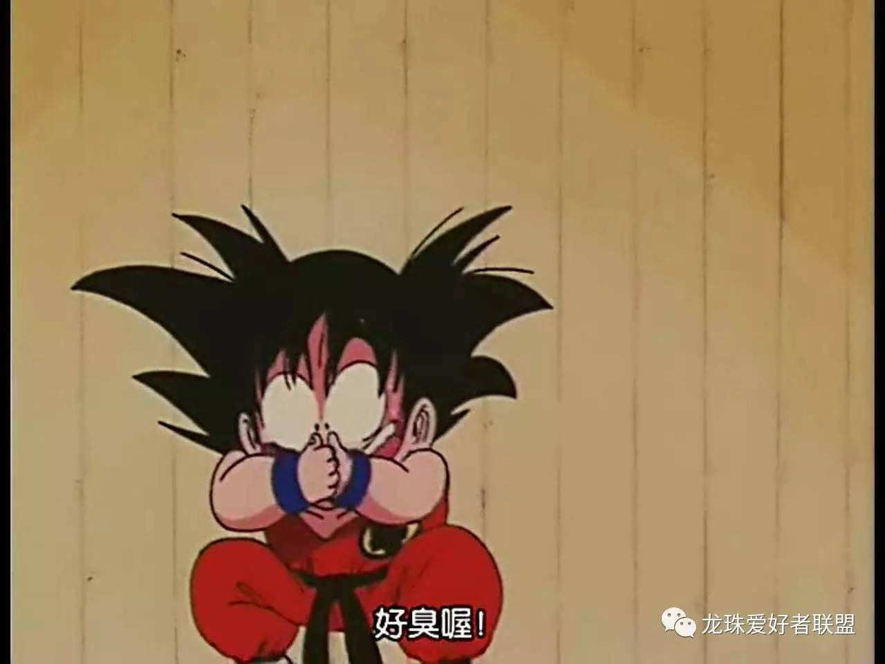 七龙珠小林最强之战,七龙珠第20集