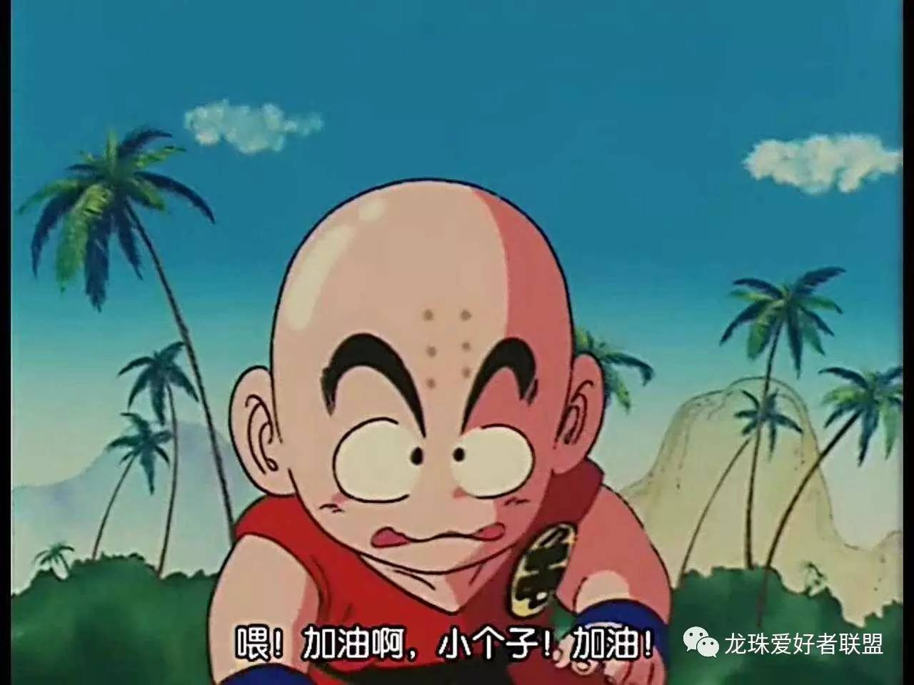 七龙珠小林最强之战,七龙珠第20集