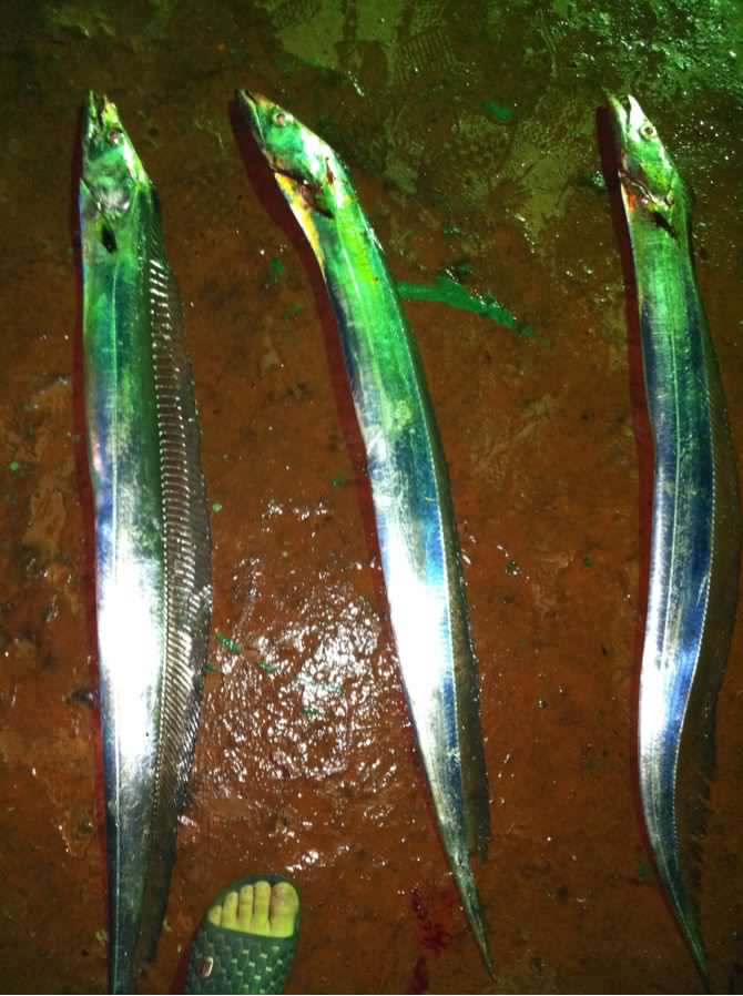 海员的日常工作和生活最新,分享海员生活日记