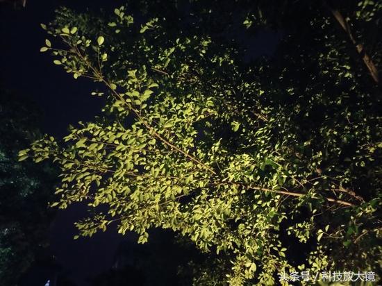 vivox9plus优点和缺点,vivoX9Plus测评