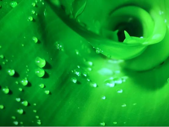 顶级hdmi品牌,高品质hdmi线