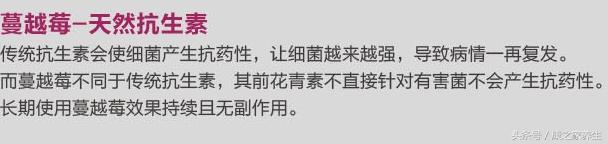 澳洲healthcare蔓越莓,swisse蔓越莓精华