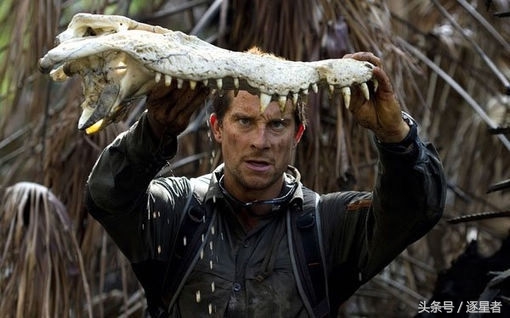 贝爷吃过多少虫子,贝爷吃过的奇怪玩意儿