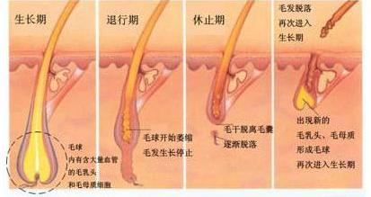 激光脱毛要脱几次才干净,激光脱毛脱唇毛几次脱干净