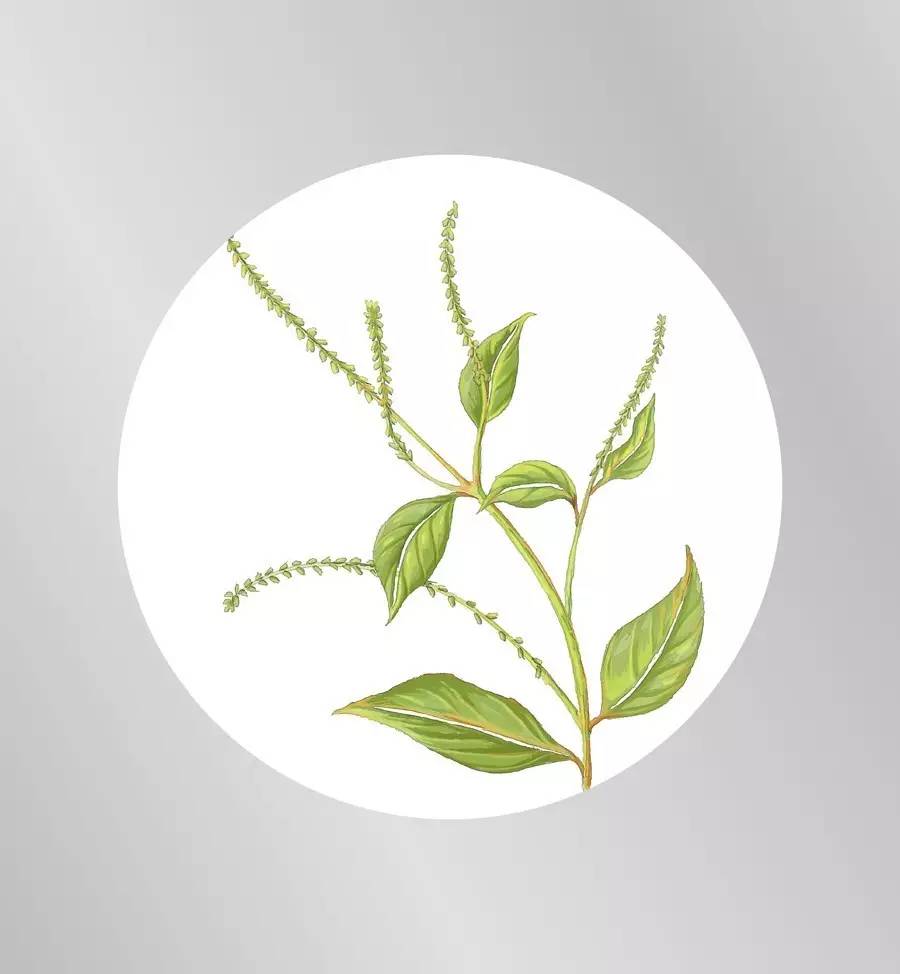 北京西林设计,北京感恩有你公司